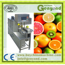 Automatica Fruit and Vegeals Peeling Machine